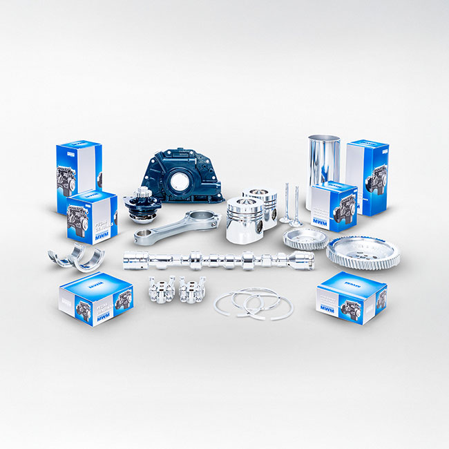 Peças Genuínas MWM