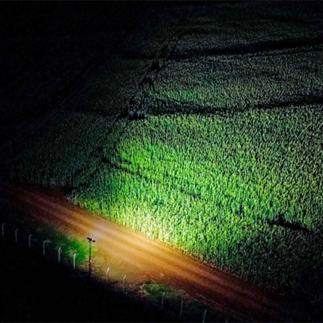 Photovoltaic lighting tower